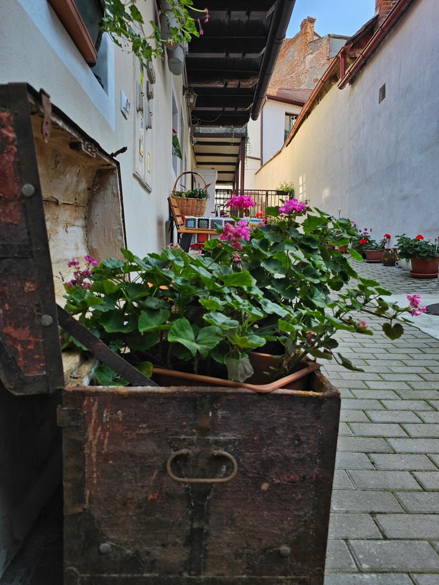 Central Cozy House Sibiu Exterior foto
